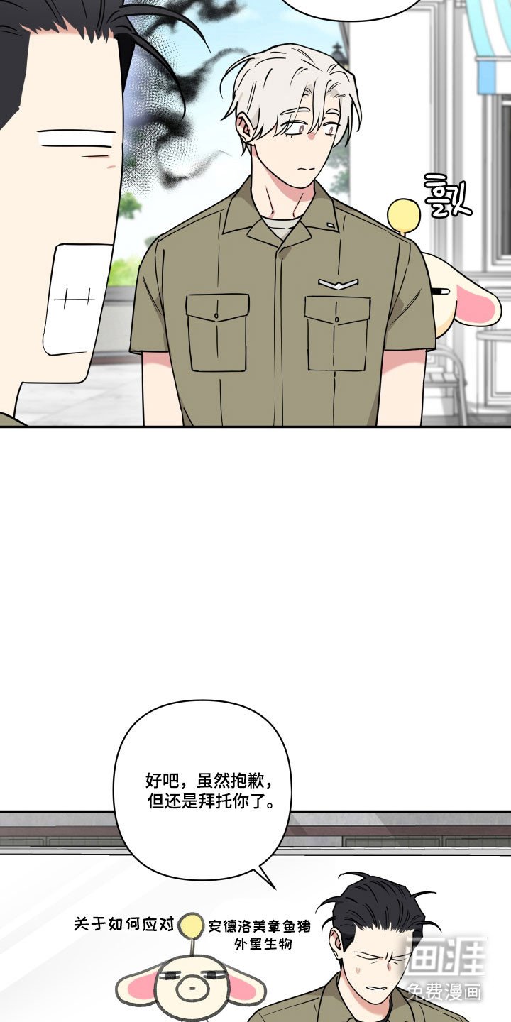 第33章：关于他