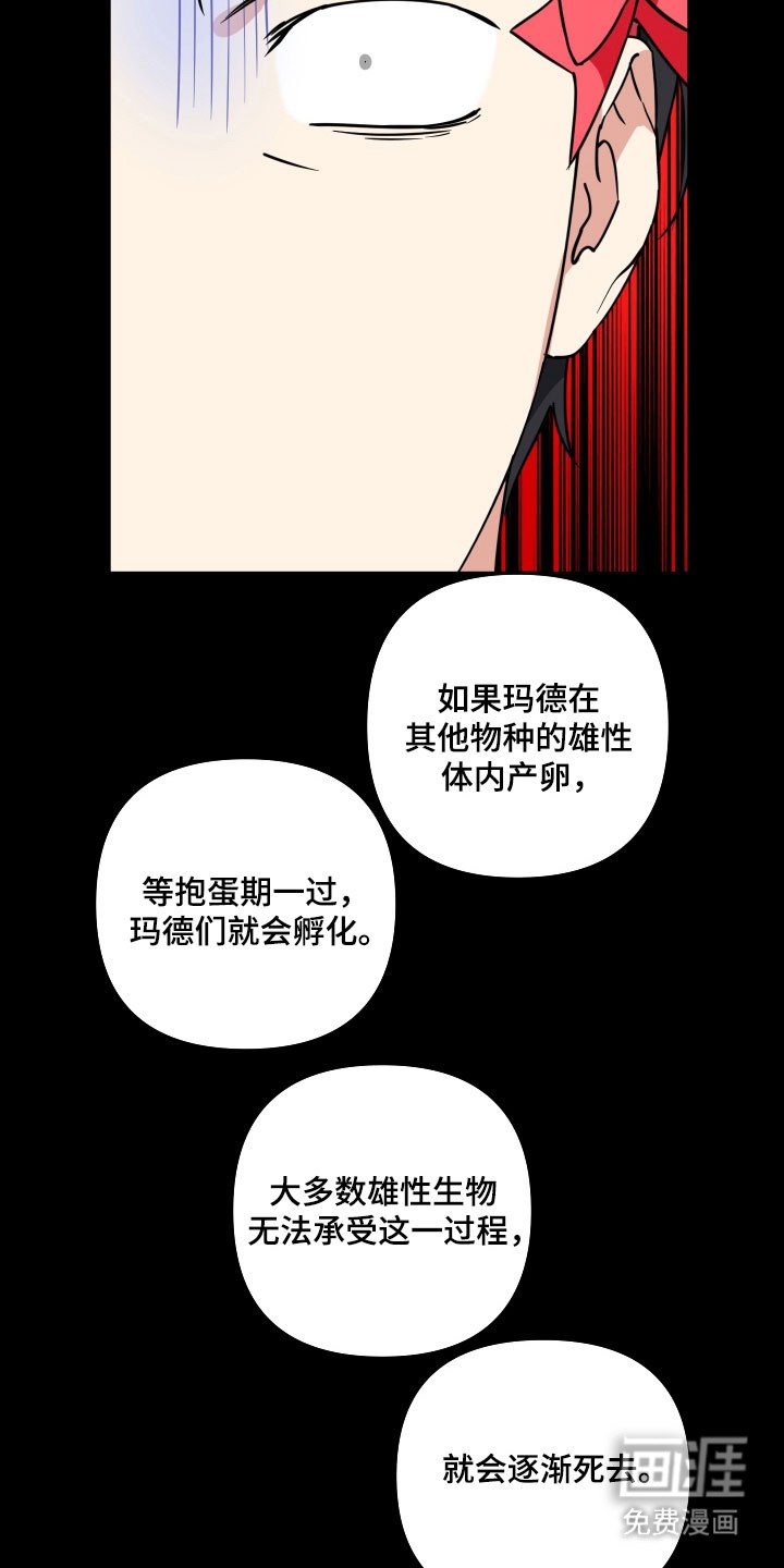 第35章：受孕工具