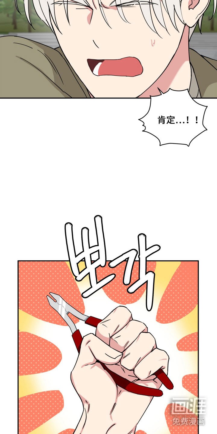 第37章：为什么