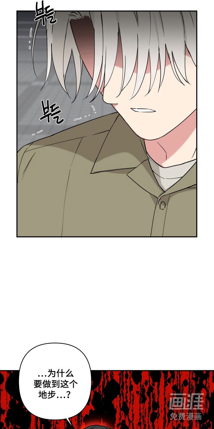 第37章：为什么