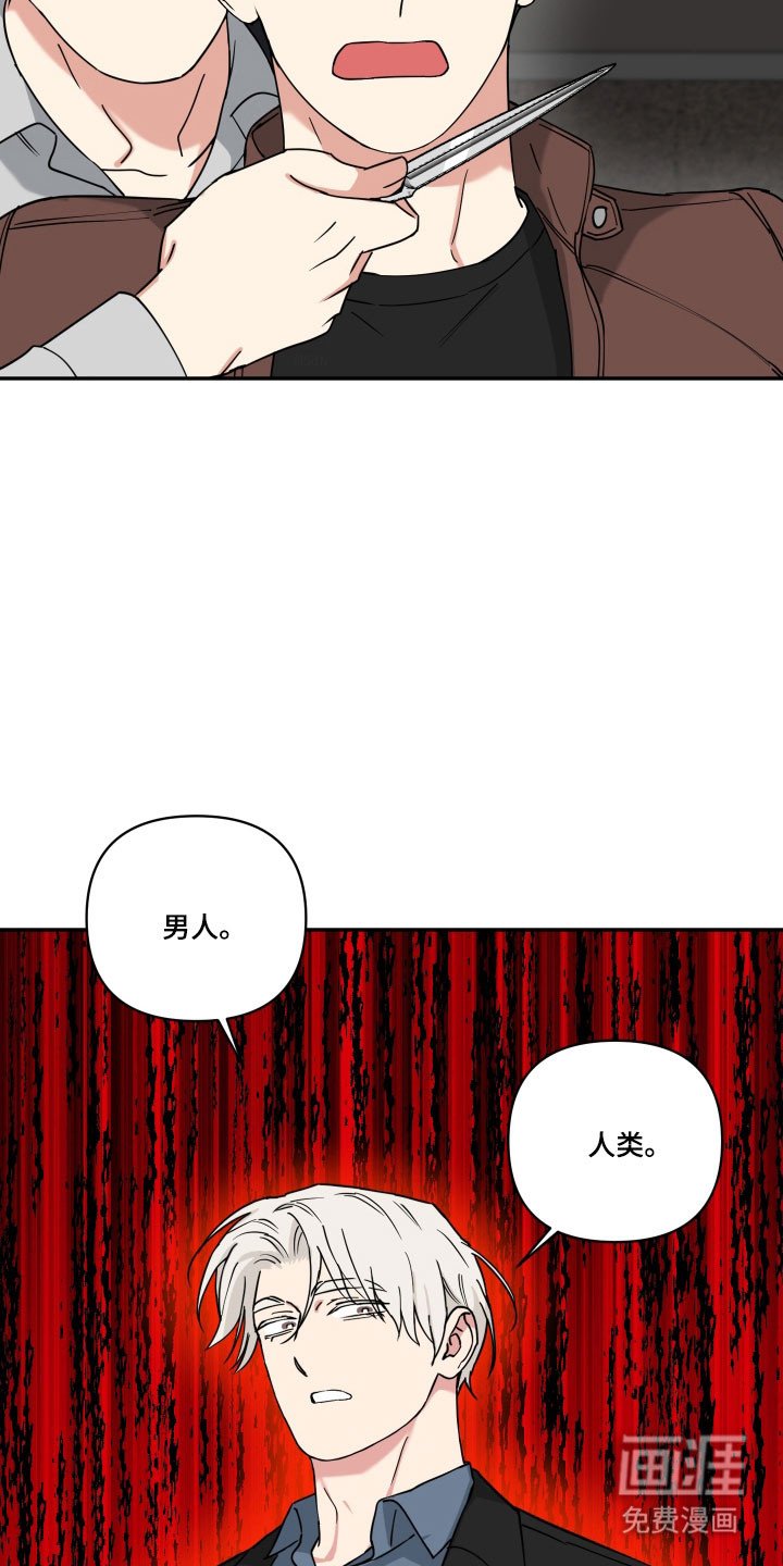 第40章：他的身份