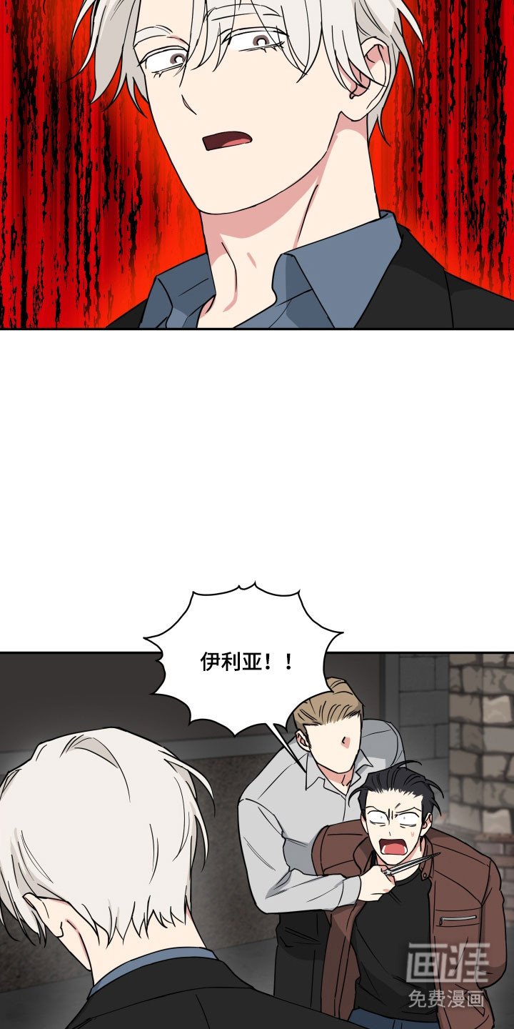 第40章：他的身份