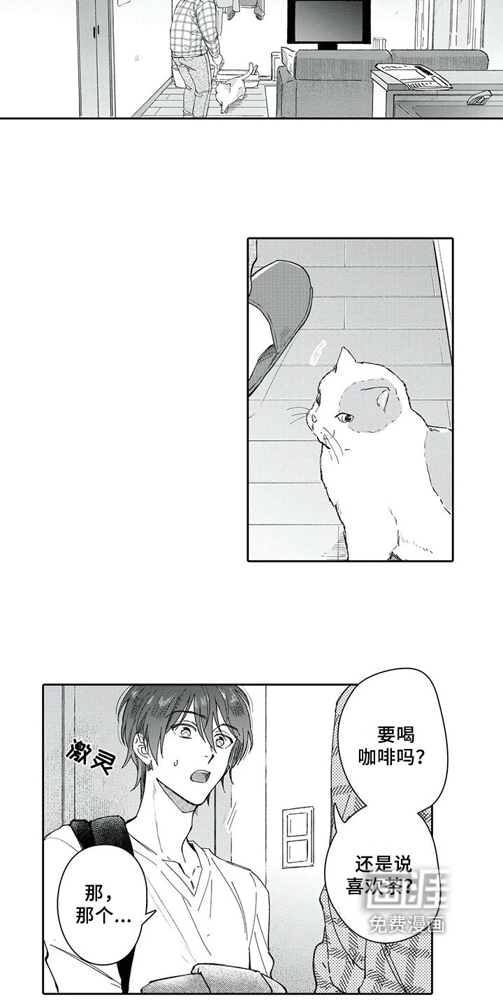 第8章：尝试