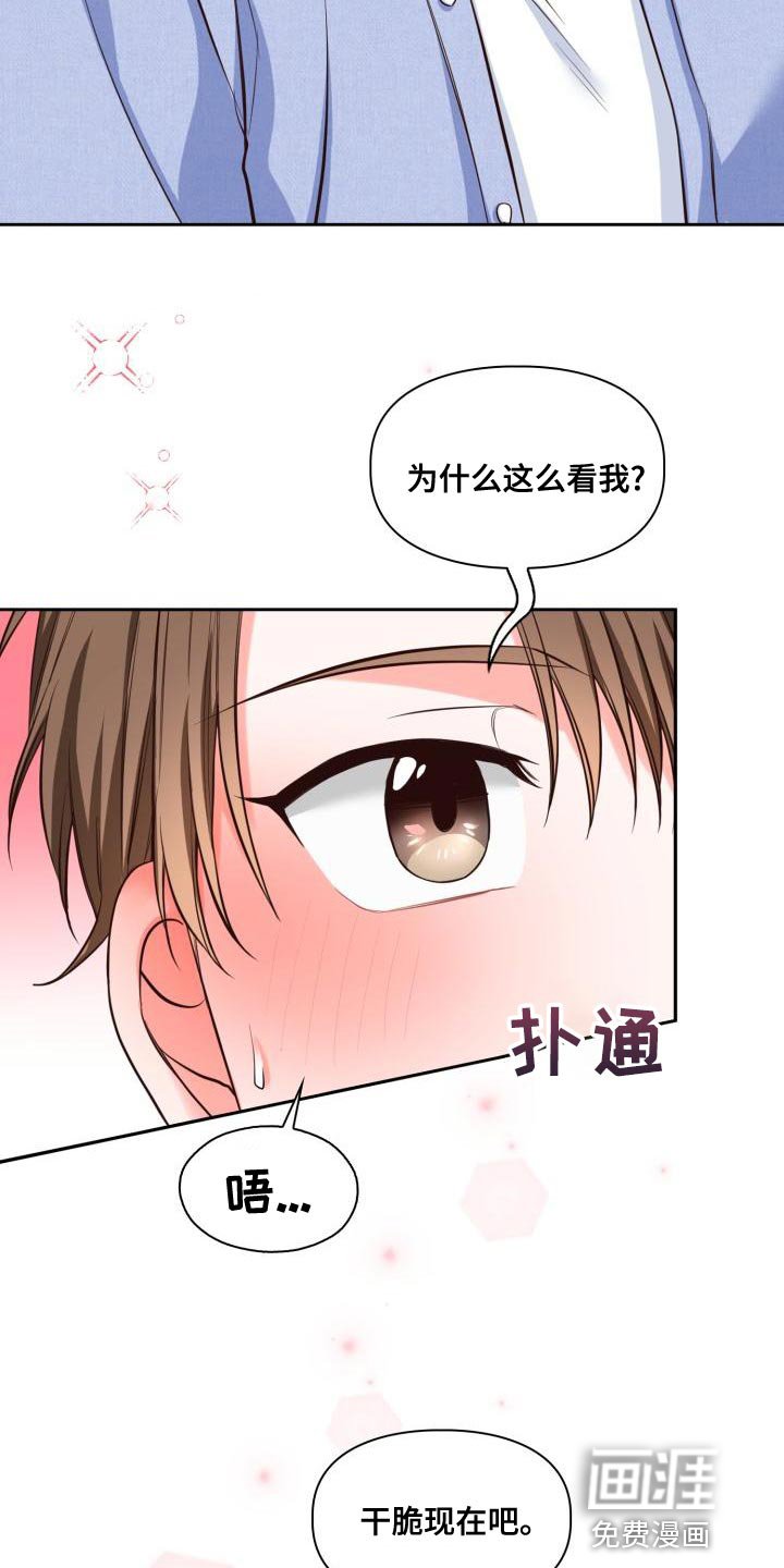 第43章：期待