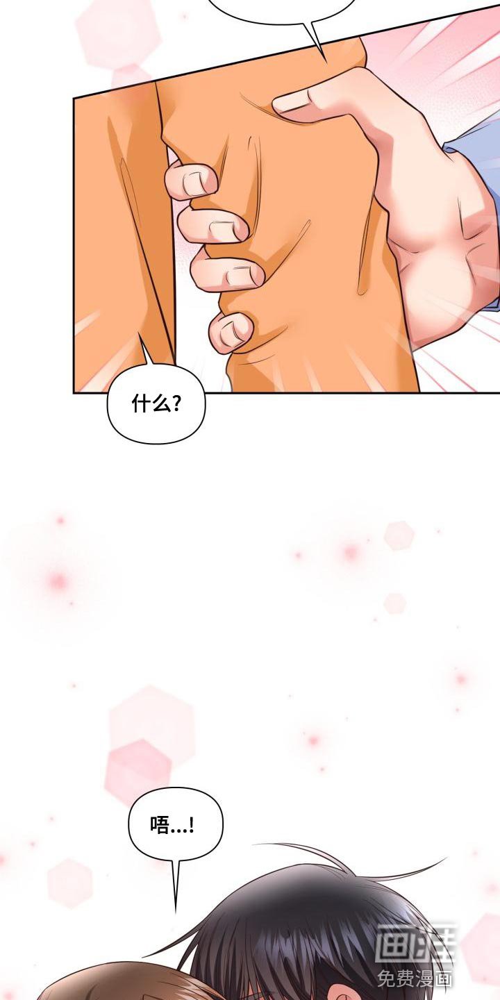 第43章：期待