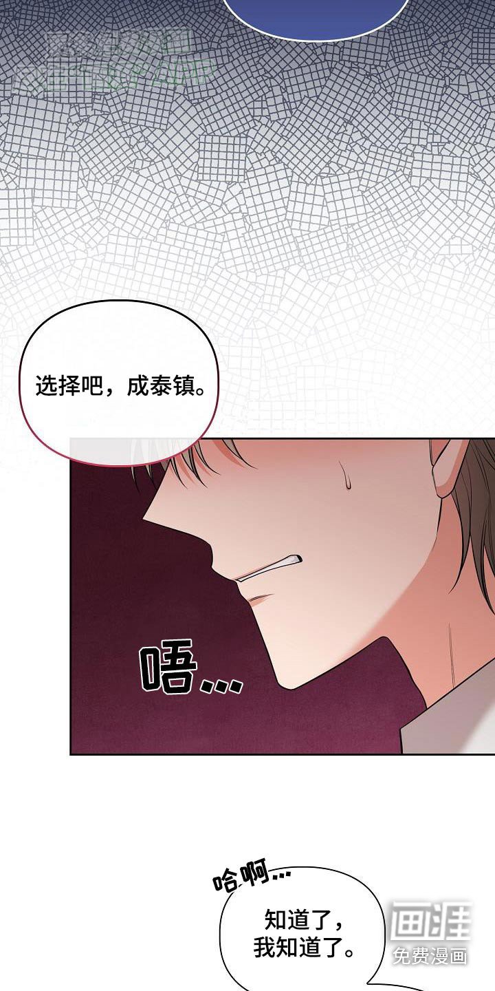 第84章：怎么选