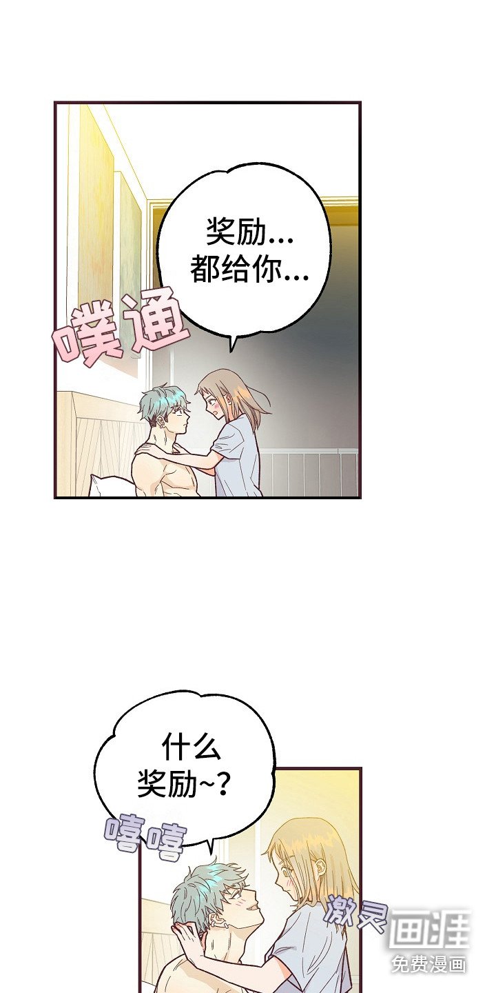 第11章：奖励