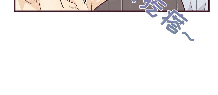第11章：奖励