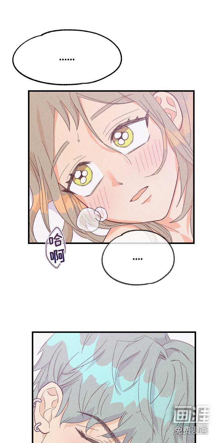 第11章：奖励