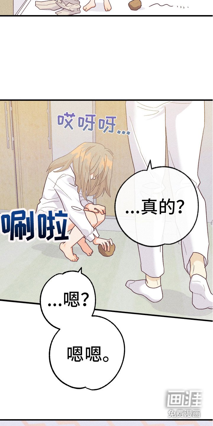 第17章：同意了