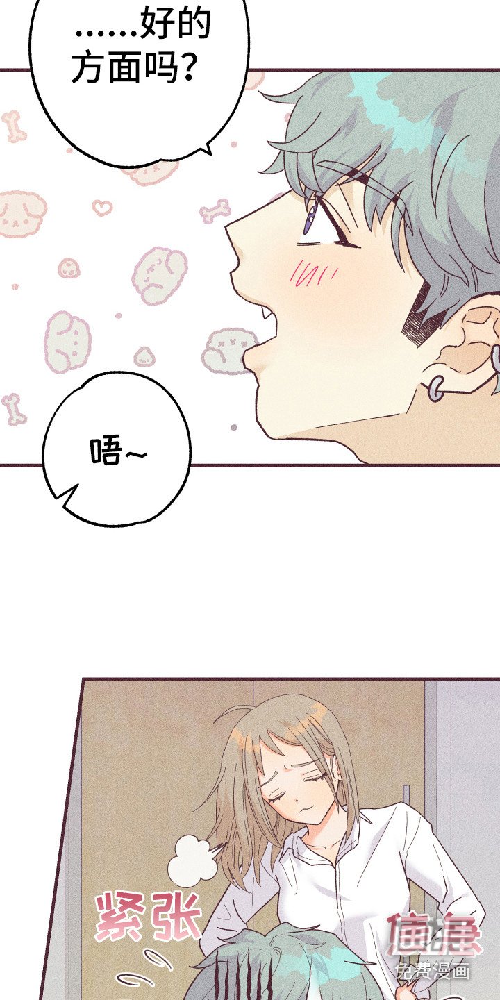 第19章：惹人爱