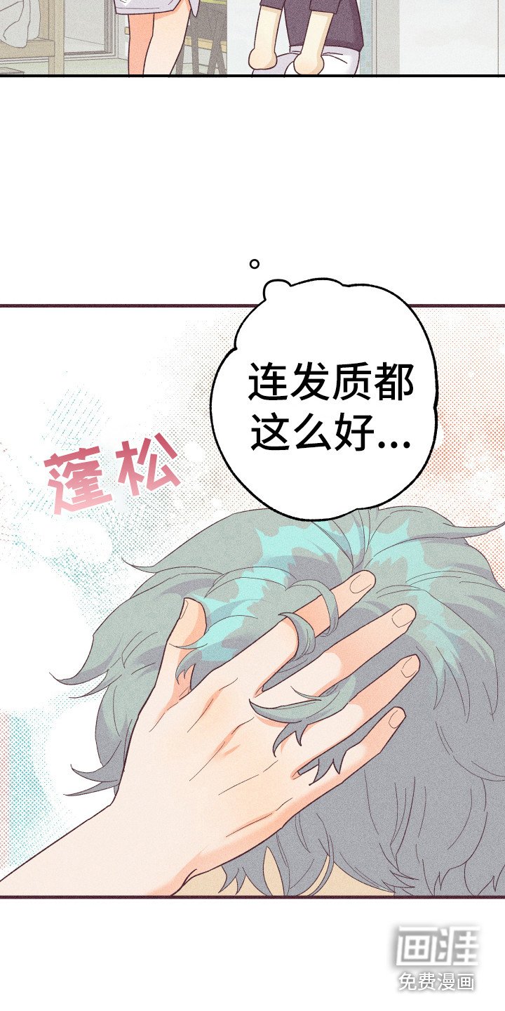 第19章：惹人爱