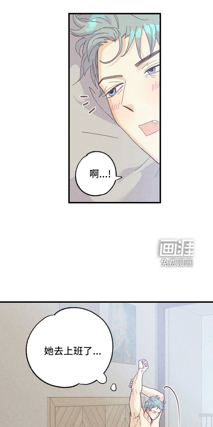 第20章：炫耀