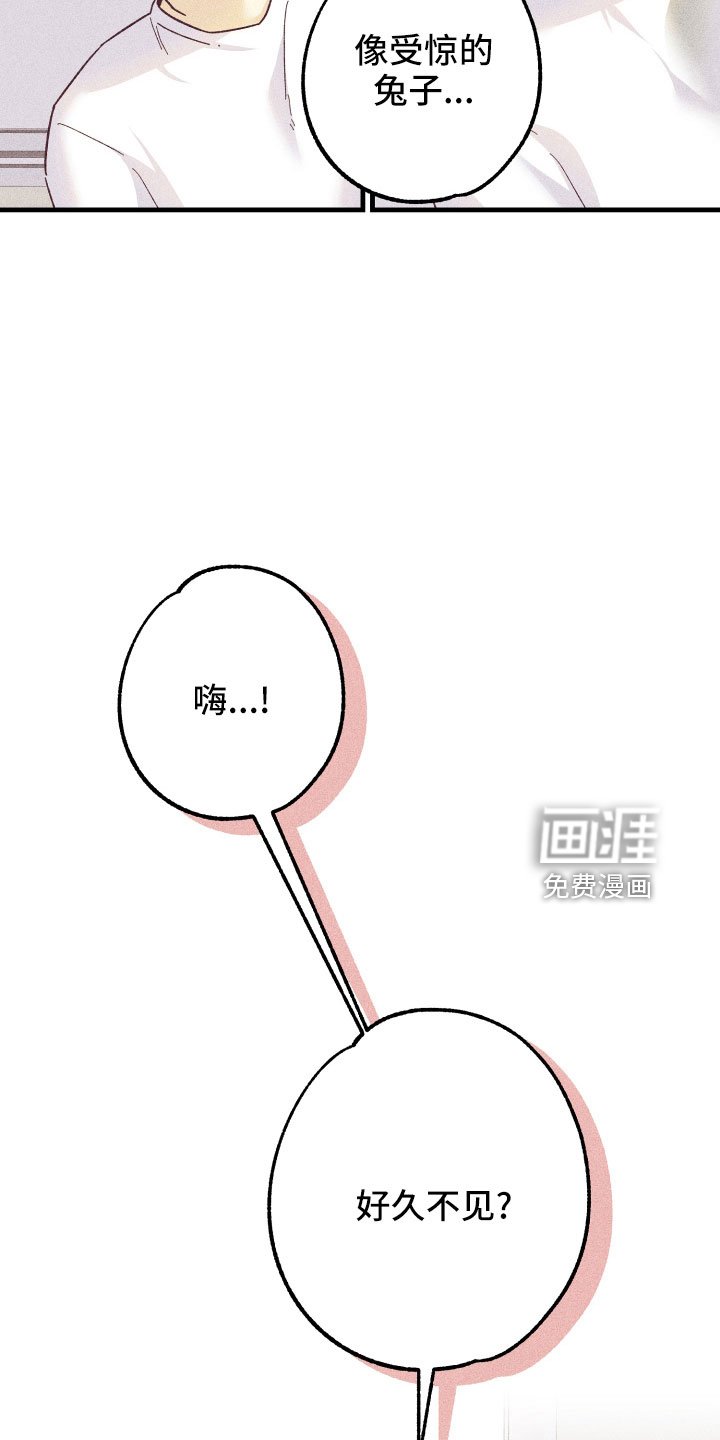 第27章：一见钟情