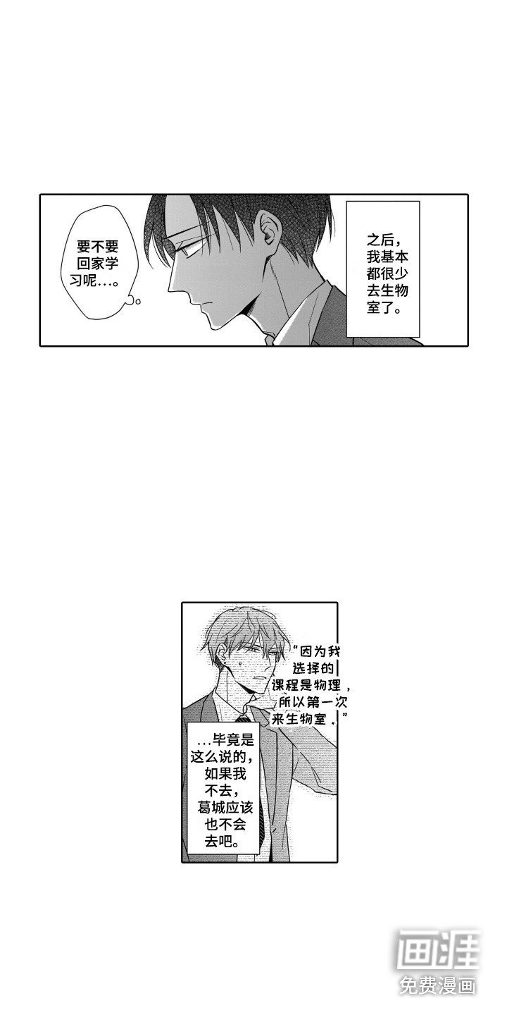第19章：期望