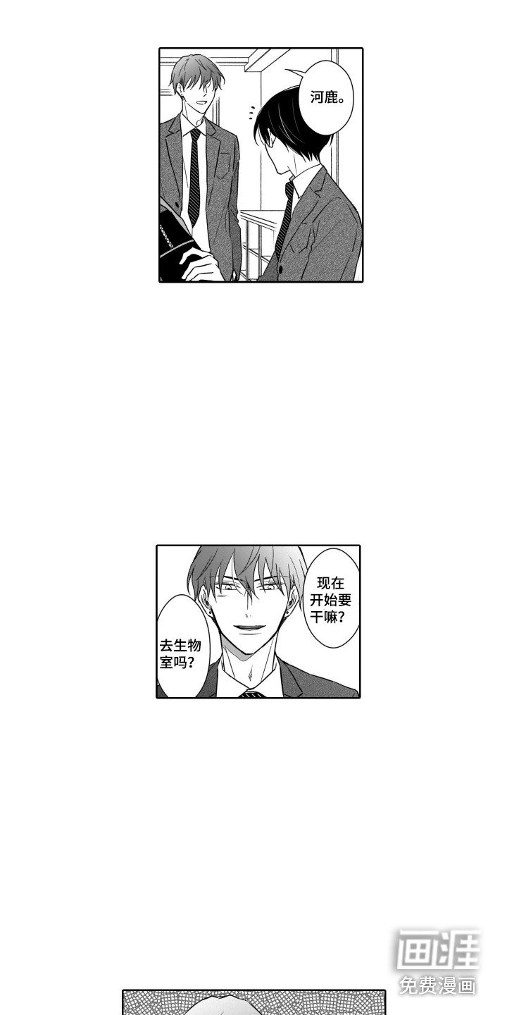 第19章：期望