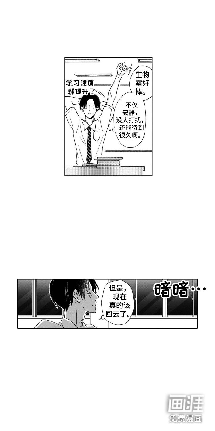 第4章：注视着