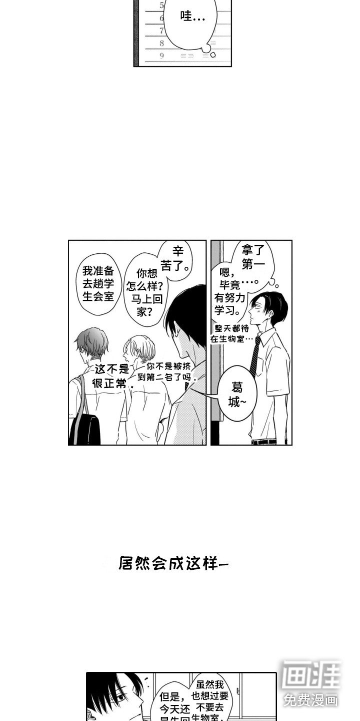 第4章：注视着