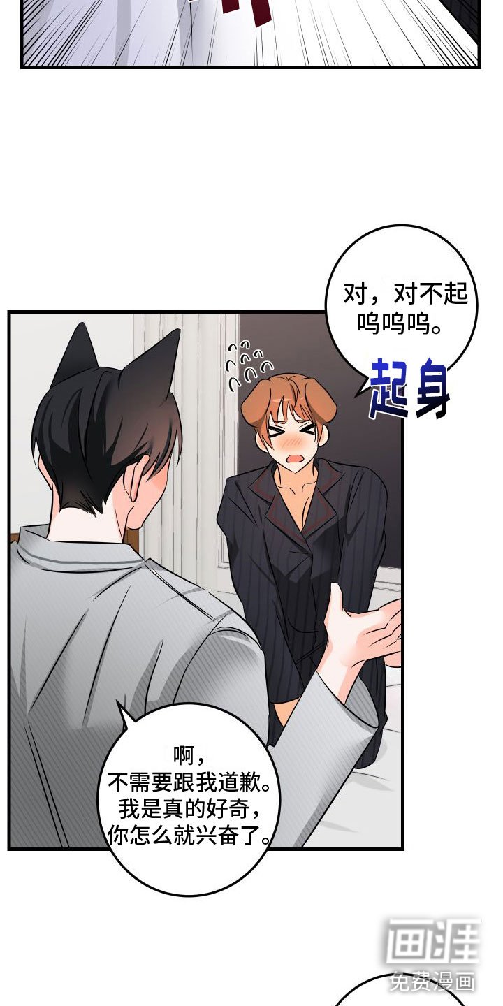 第10章：我爱你【完】