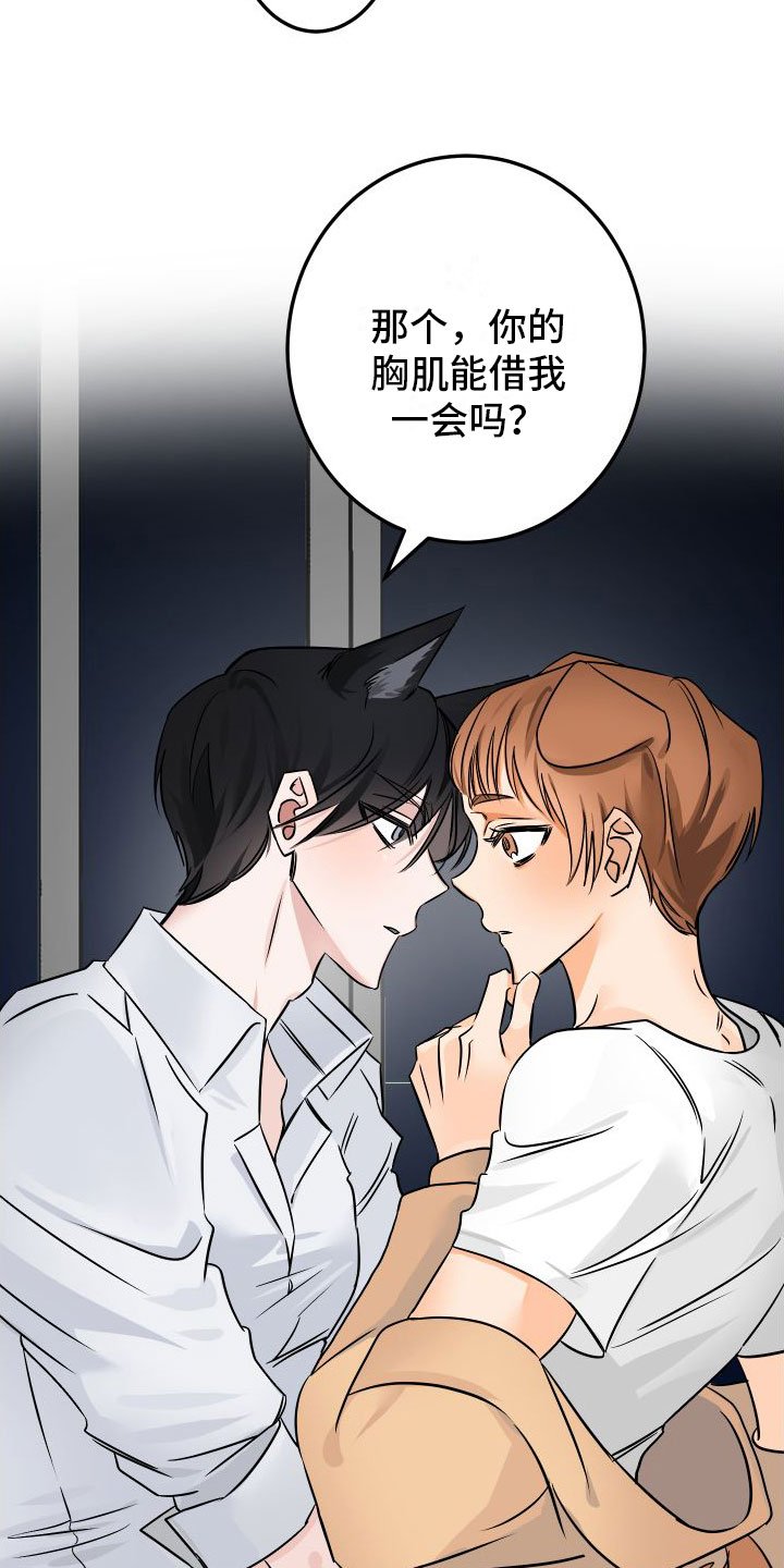 第2章：酒后安慰