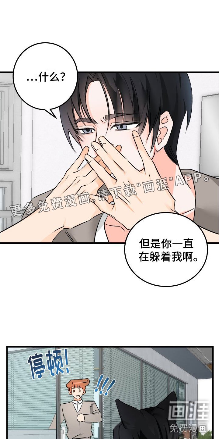 第5章：给我看看