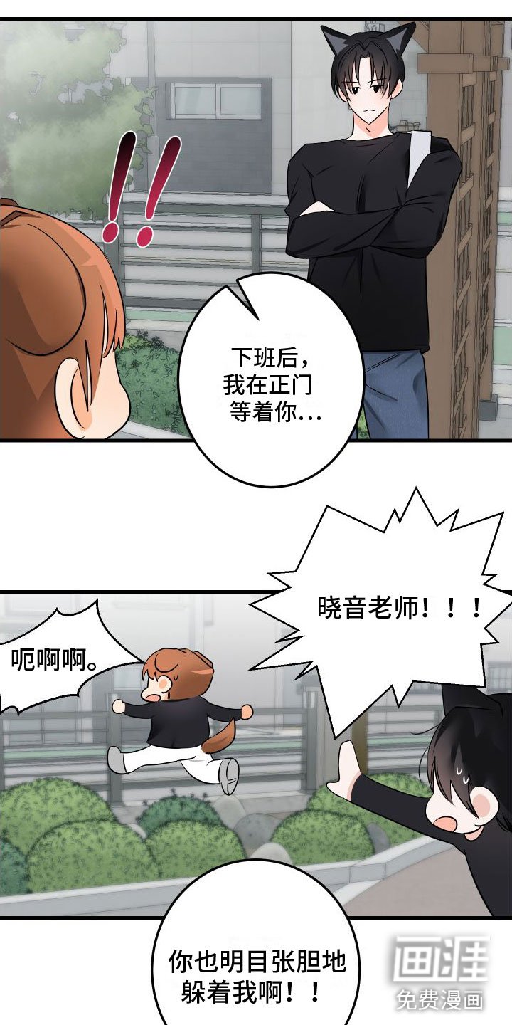第5章：给我看看