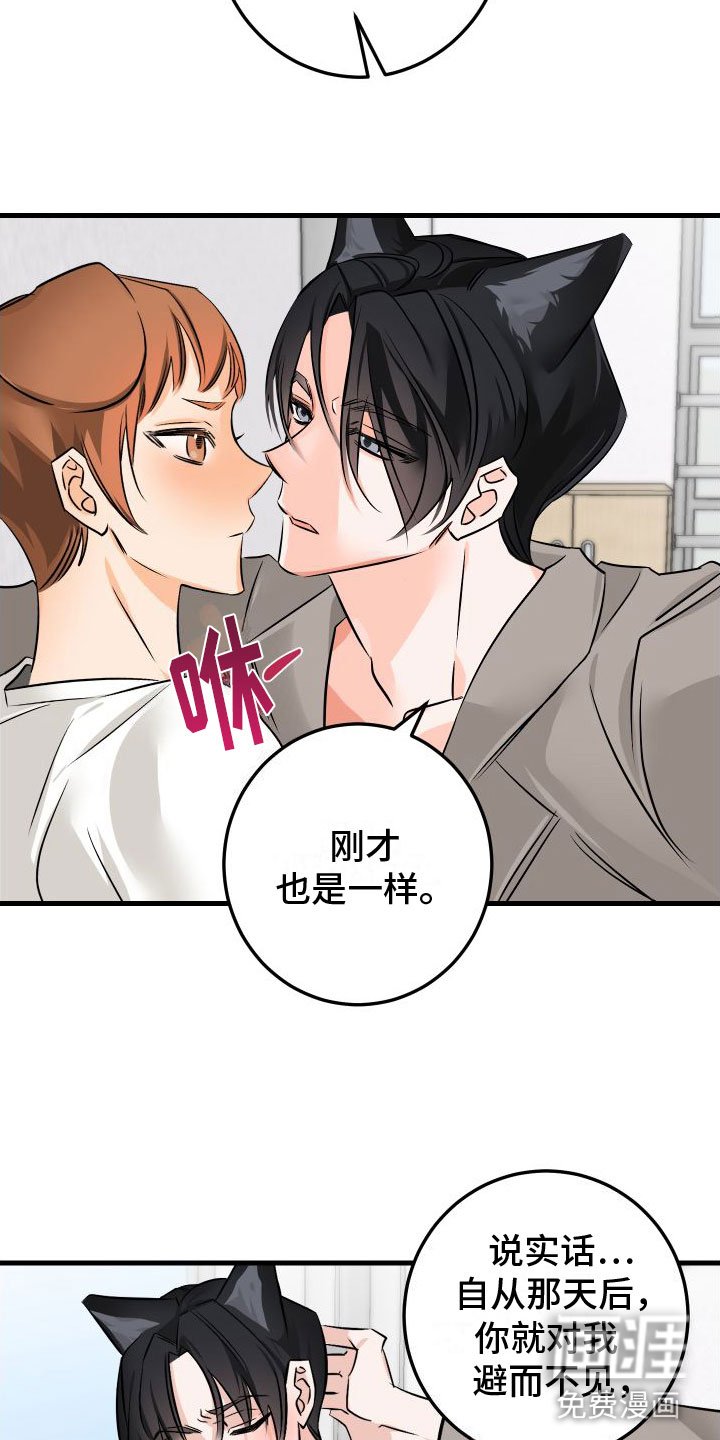 第5章：给我看看