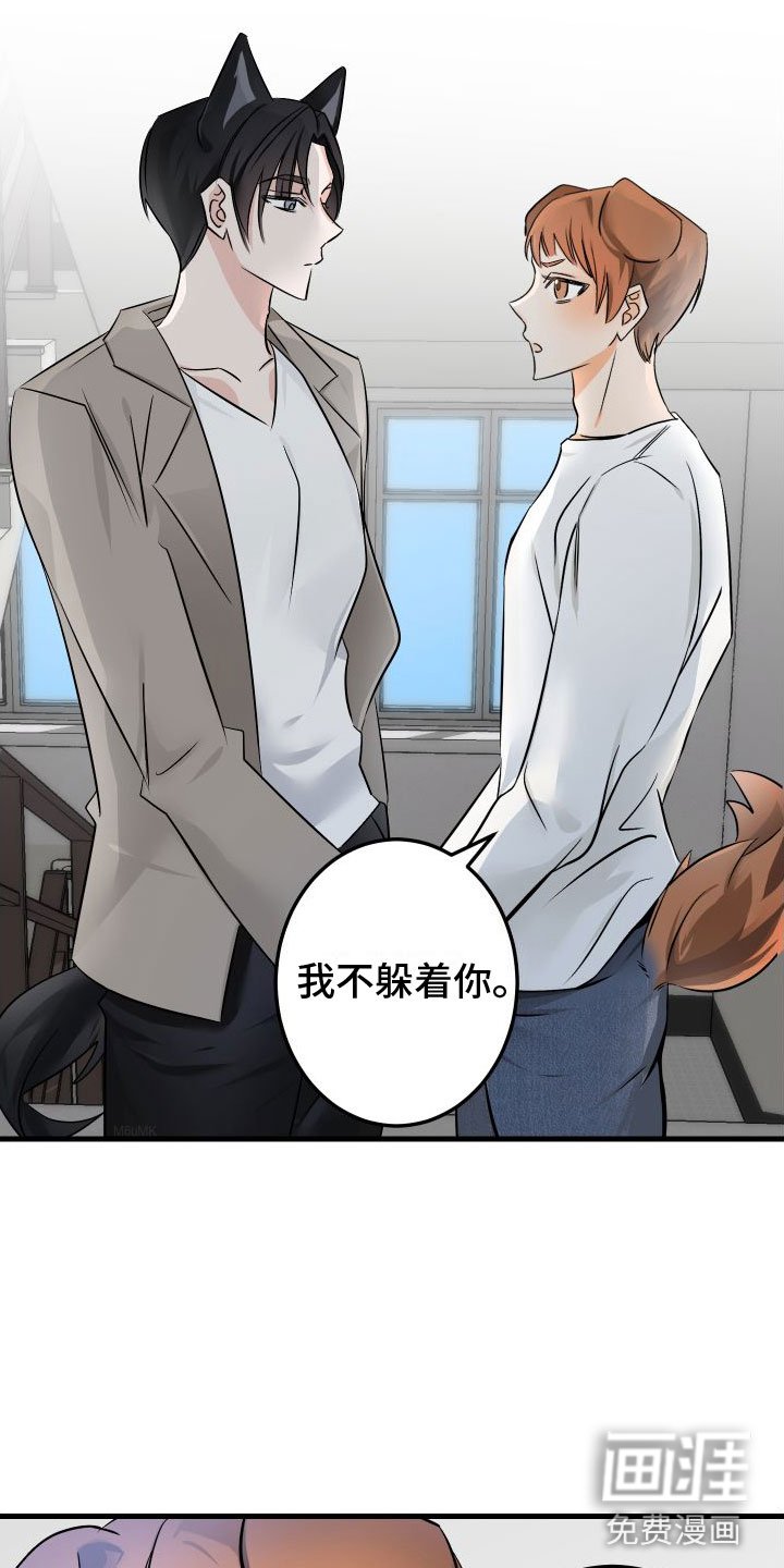 第5章：给我看看