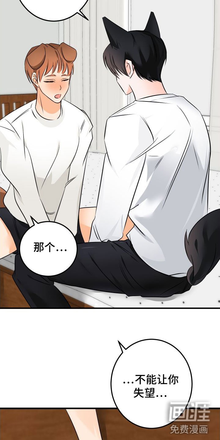 第5章：给我看看