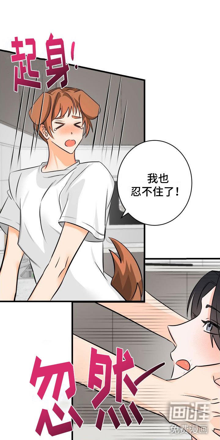 第6章：第一次
