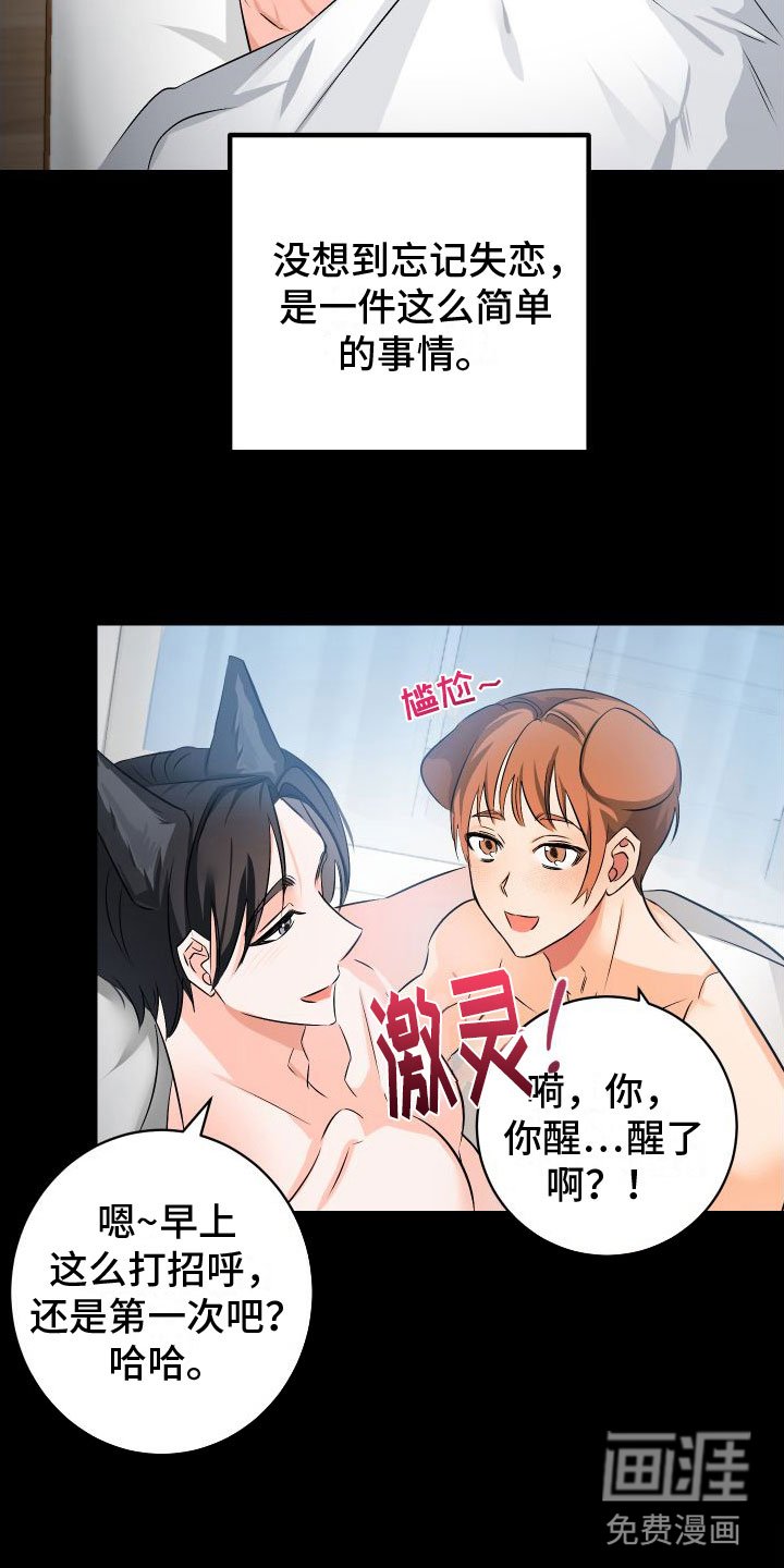 第7章： 崩塌