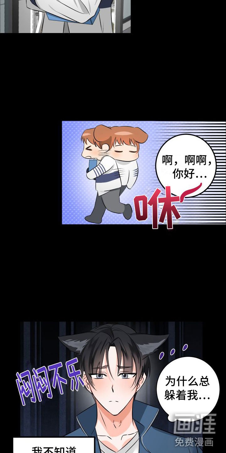 第7章： 崩塌