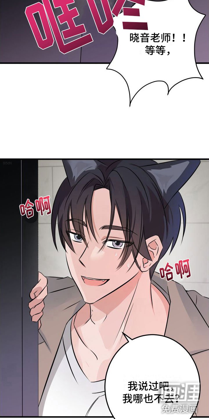 第9章：喜欢你