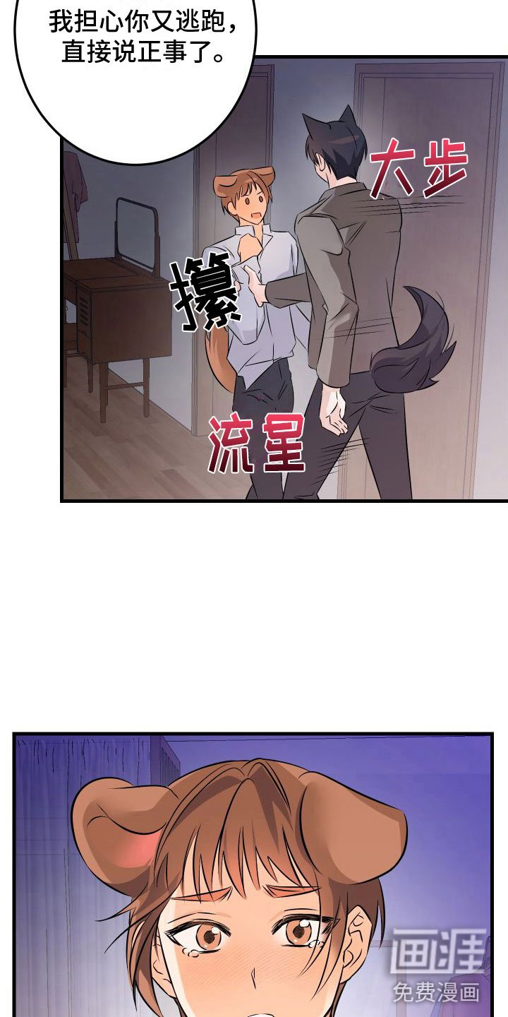 第9章：喜欢你