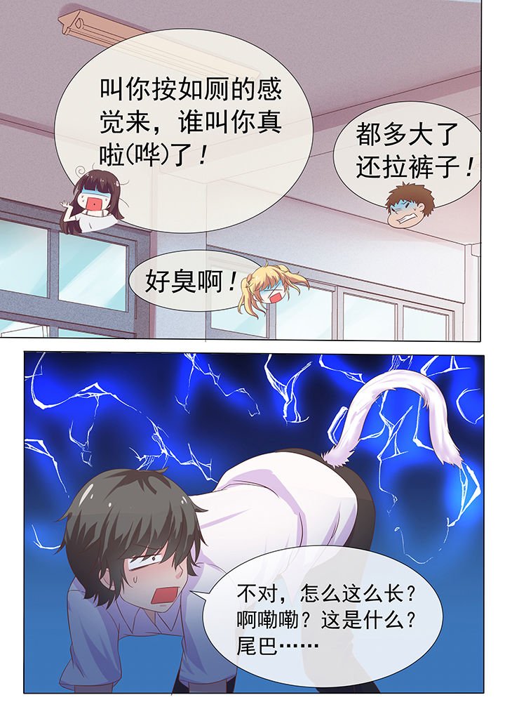 第11章：