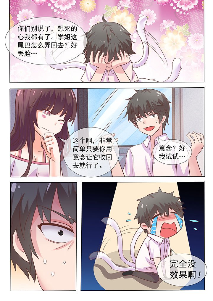 第11章：