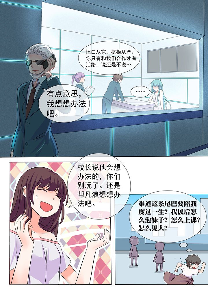 第11章：