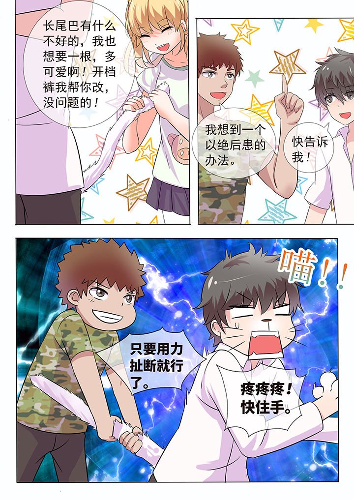 第12章：