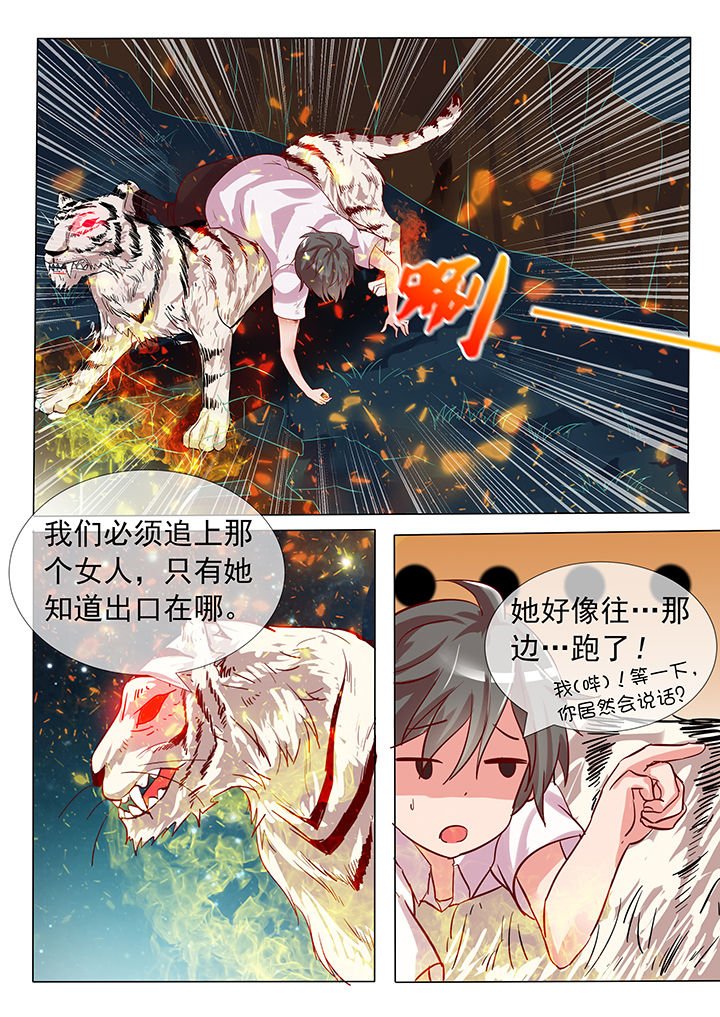 第20章：