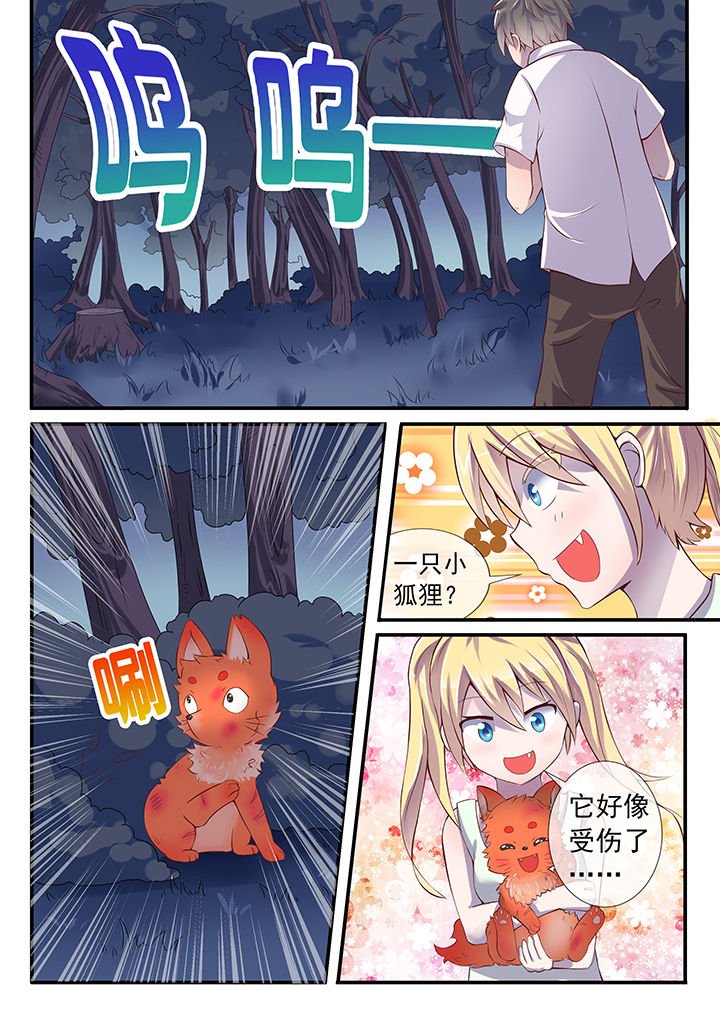 第28章：