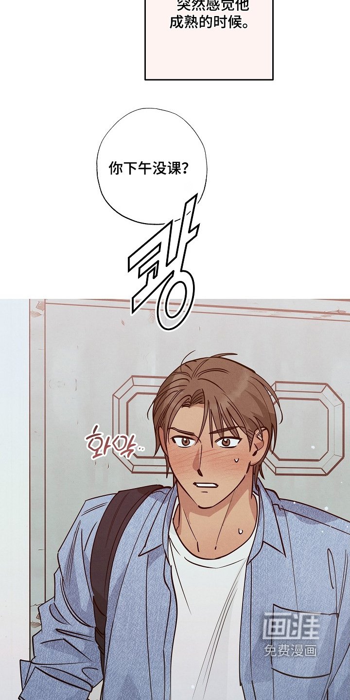 第32章：有什么想法