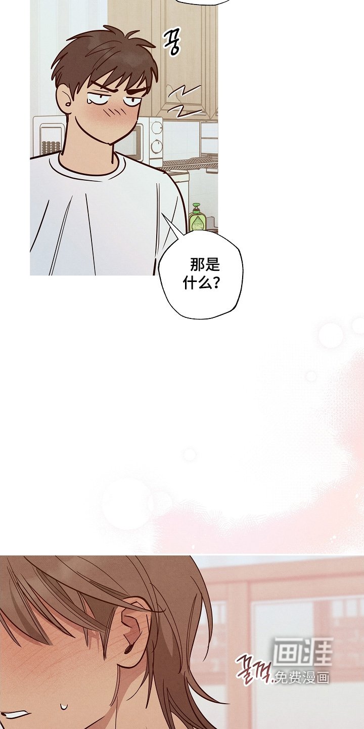第33章：你是同志
