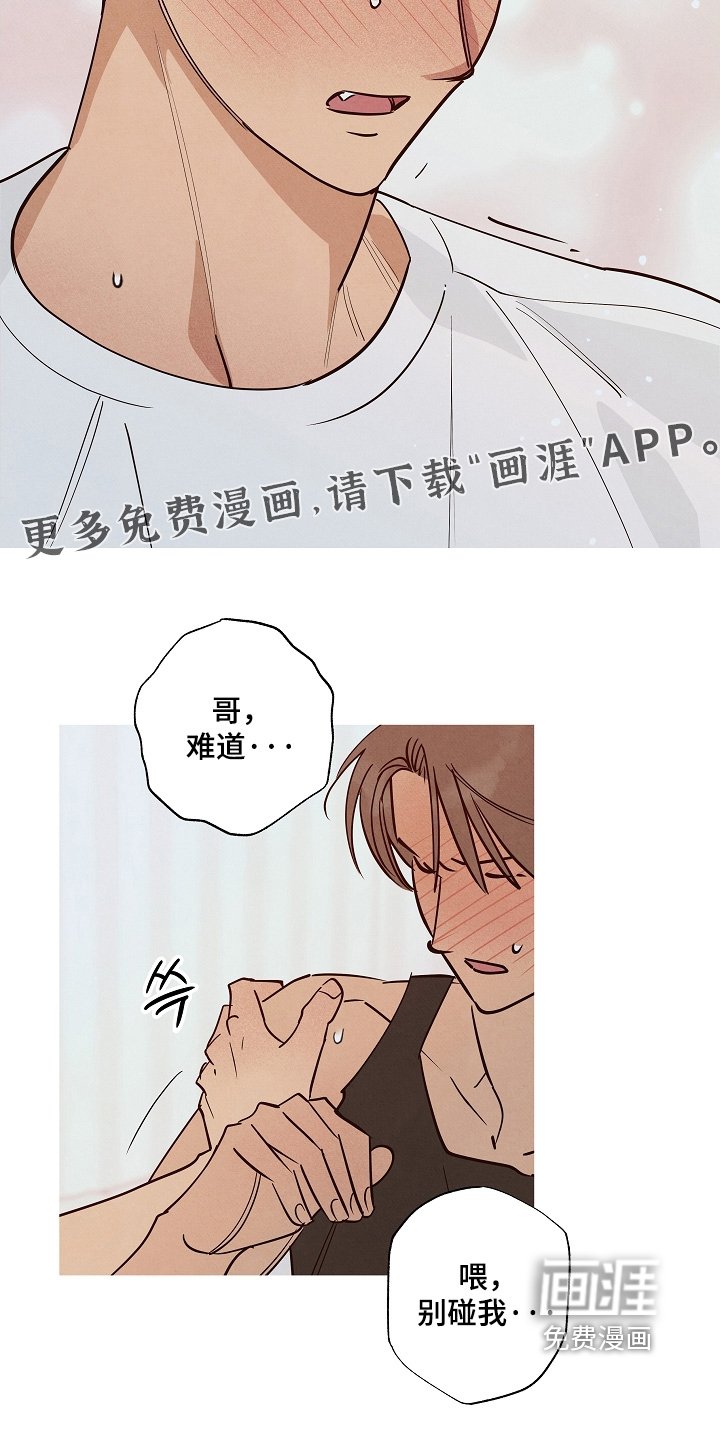 第33章：你是同志