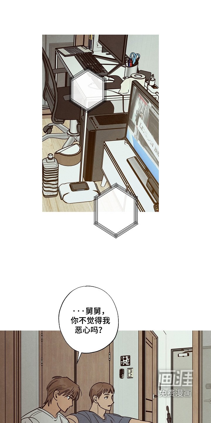 第41章：探望