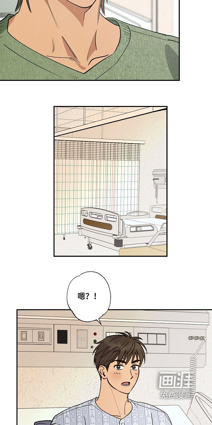 第41章：探望