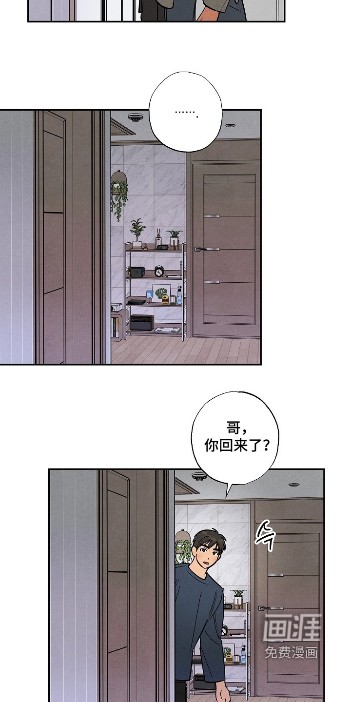 第43章：和你一起回去