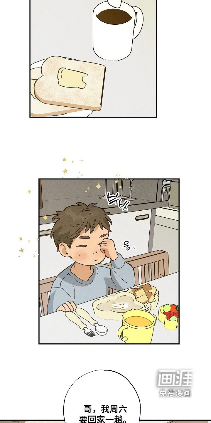 第43章：和你一起回去