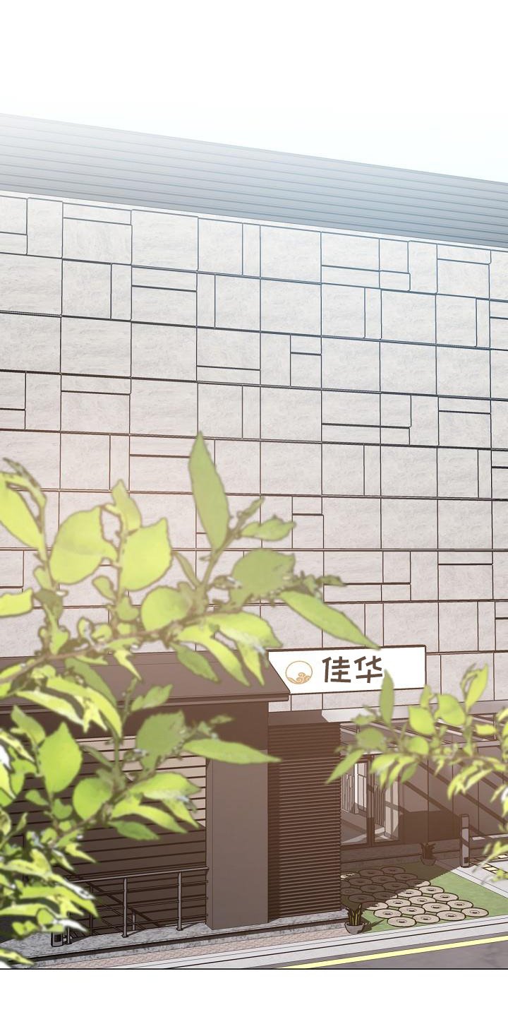 第51章：目击