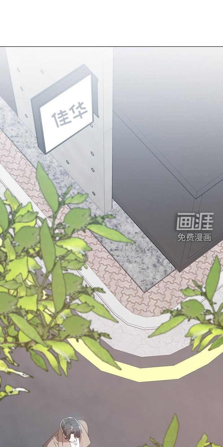 第52章：坚定