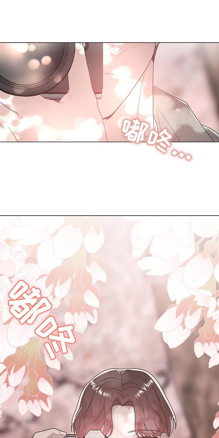 第80章：视线